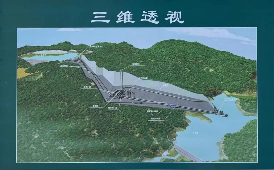 cf686bec-12c7-4563-a855-5287d62ae81d - 副本.jpg